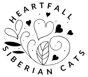 Heartfall Siberian Cats